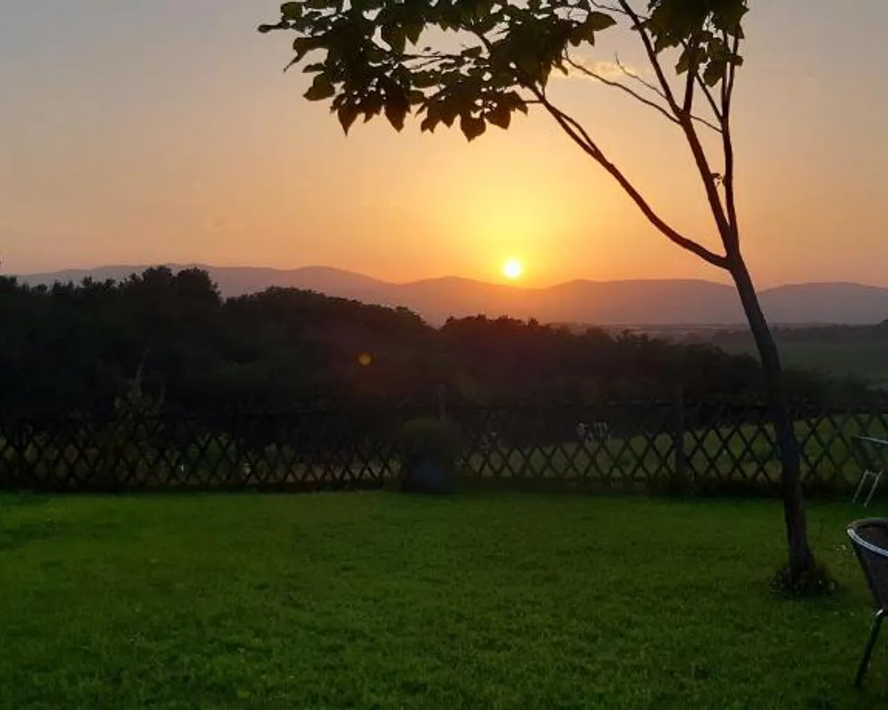 전망