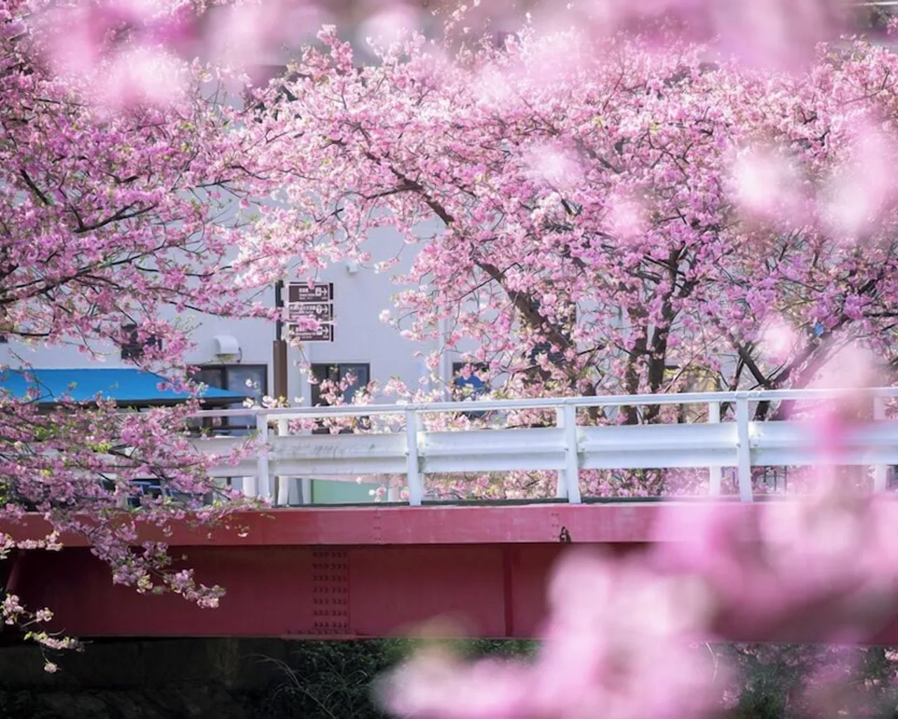 기본 이미지