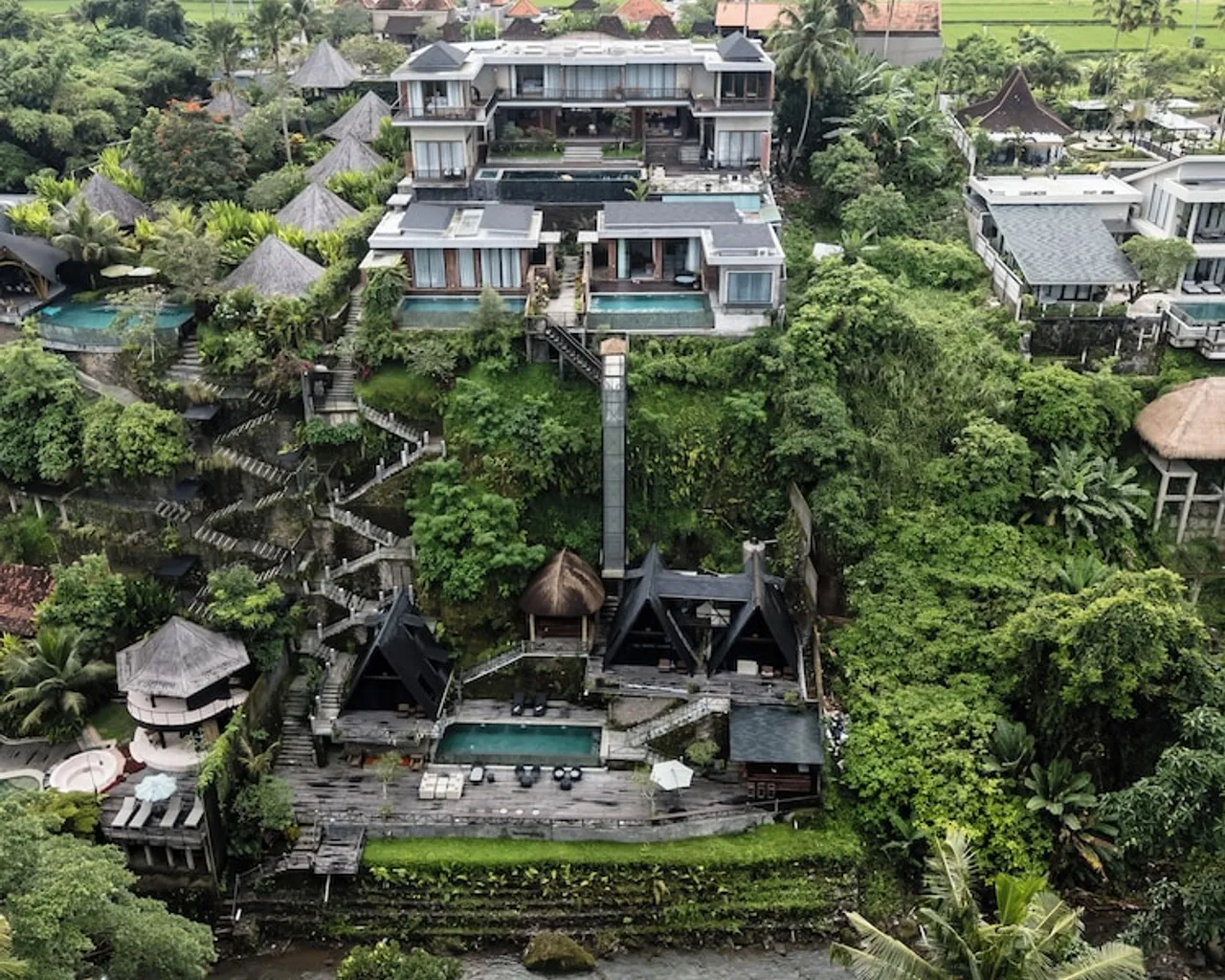 기본 이미지