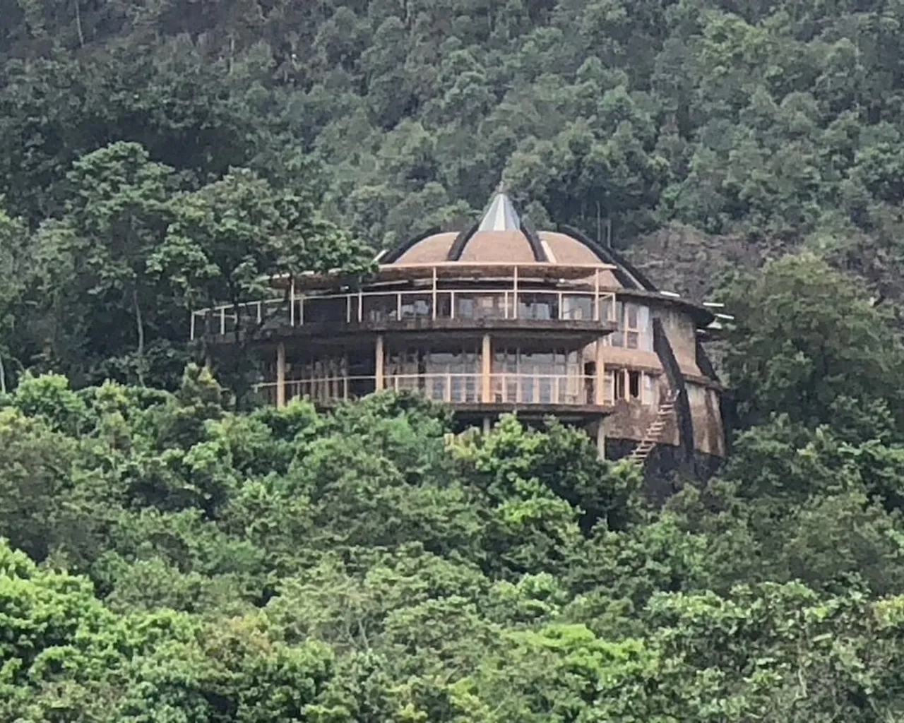기본 이미지
