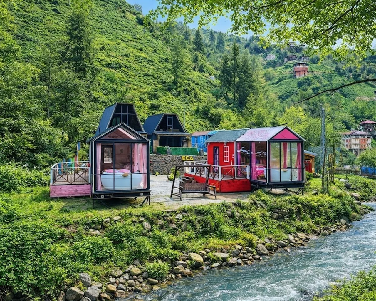 기본 이미지