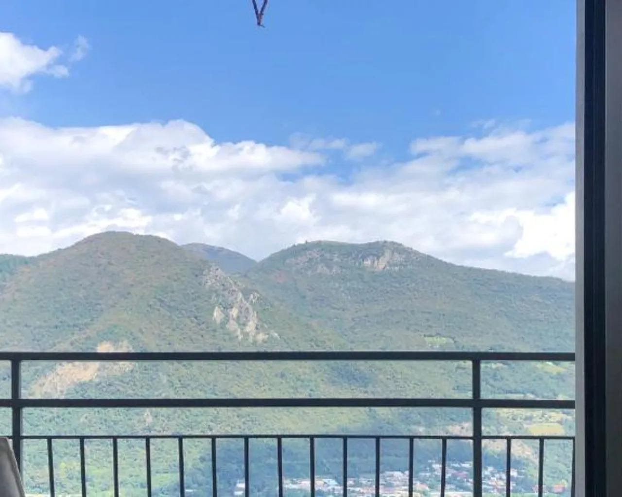 전망