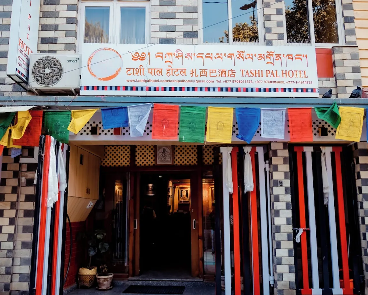 기본 이미지