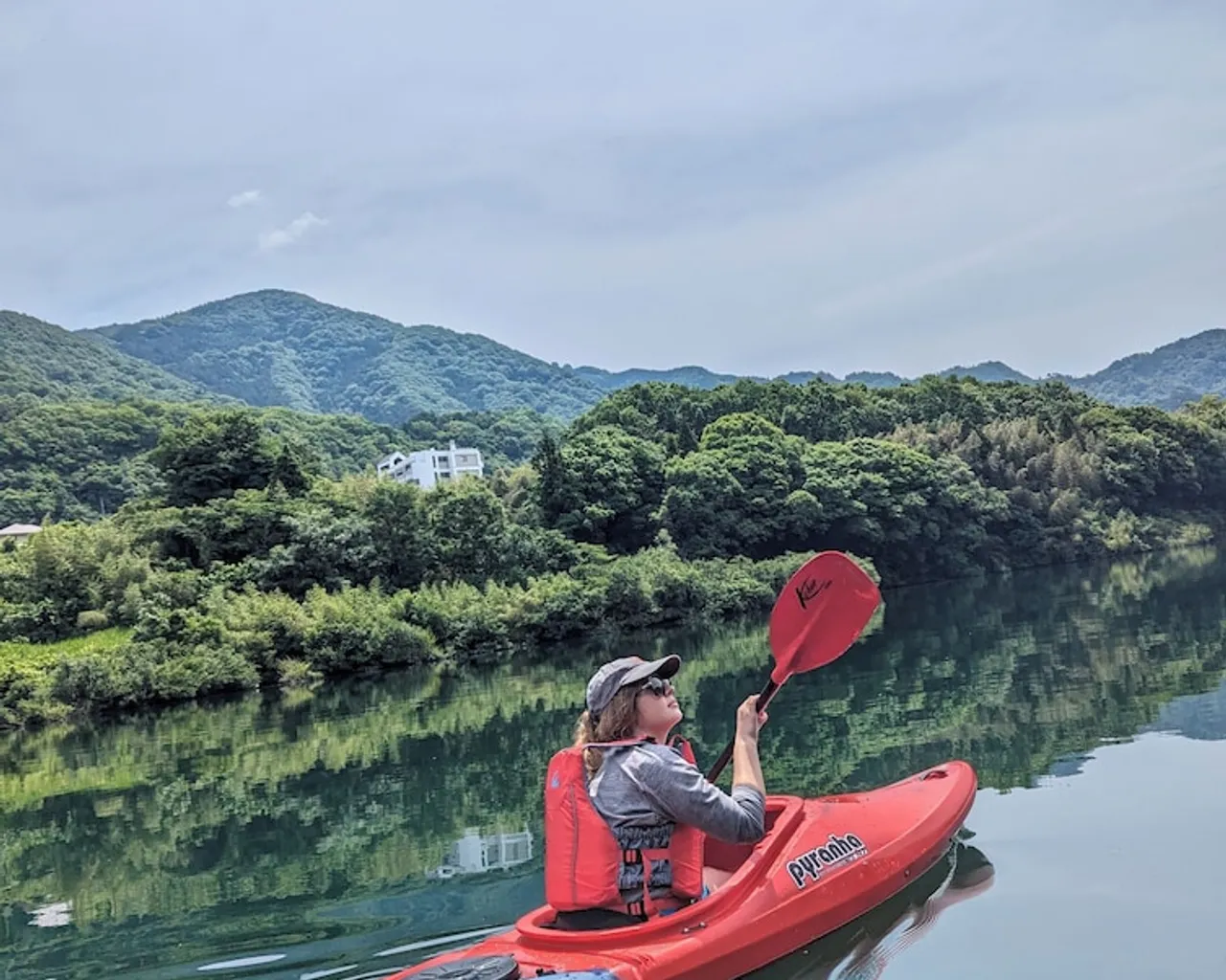 기본 이미지