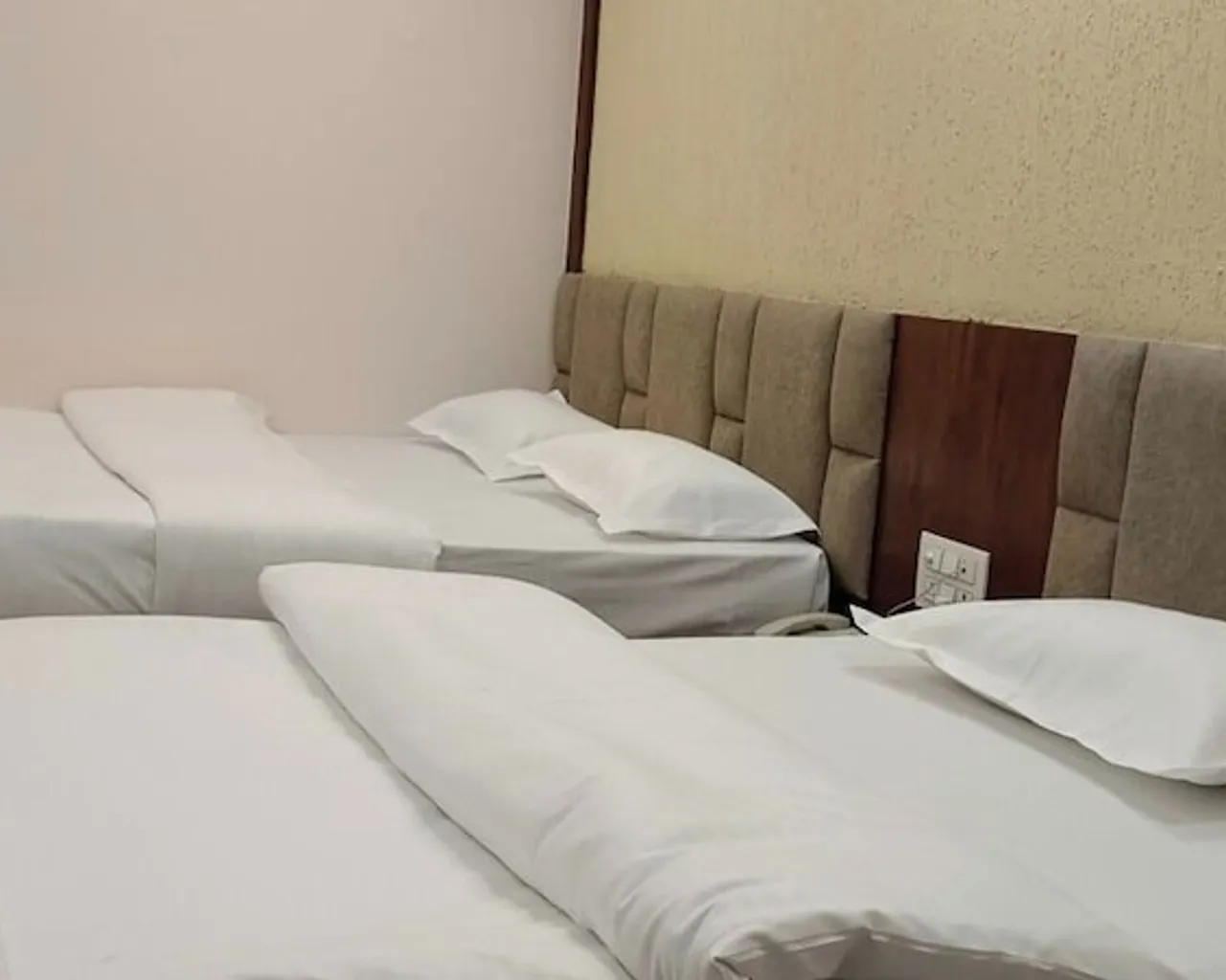 기본 이미지