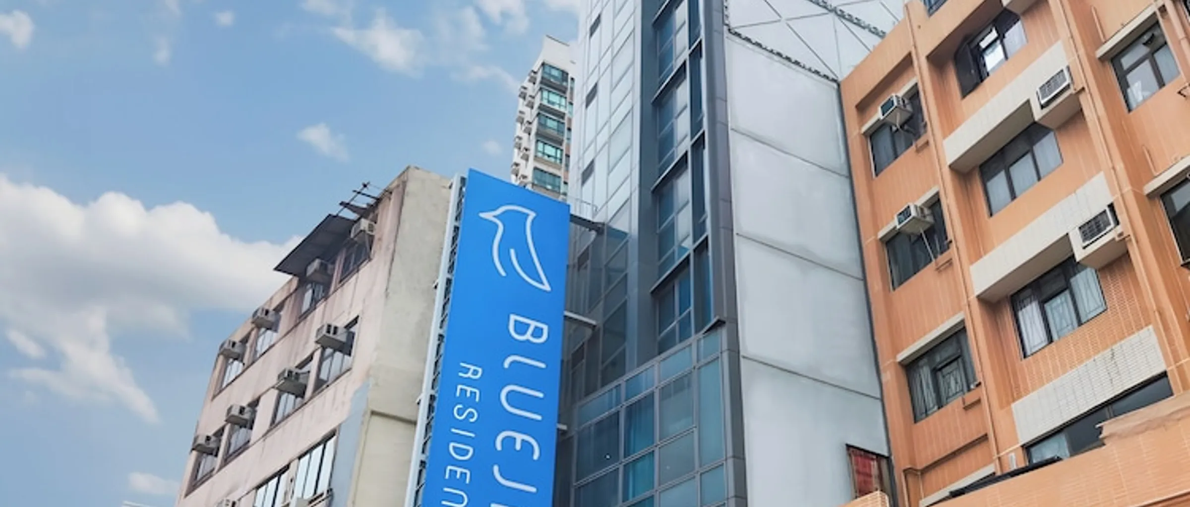 기본 이미지
