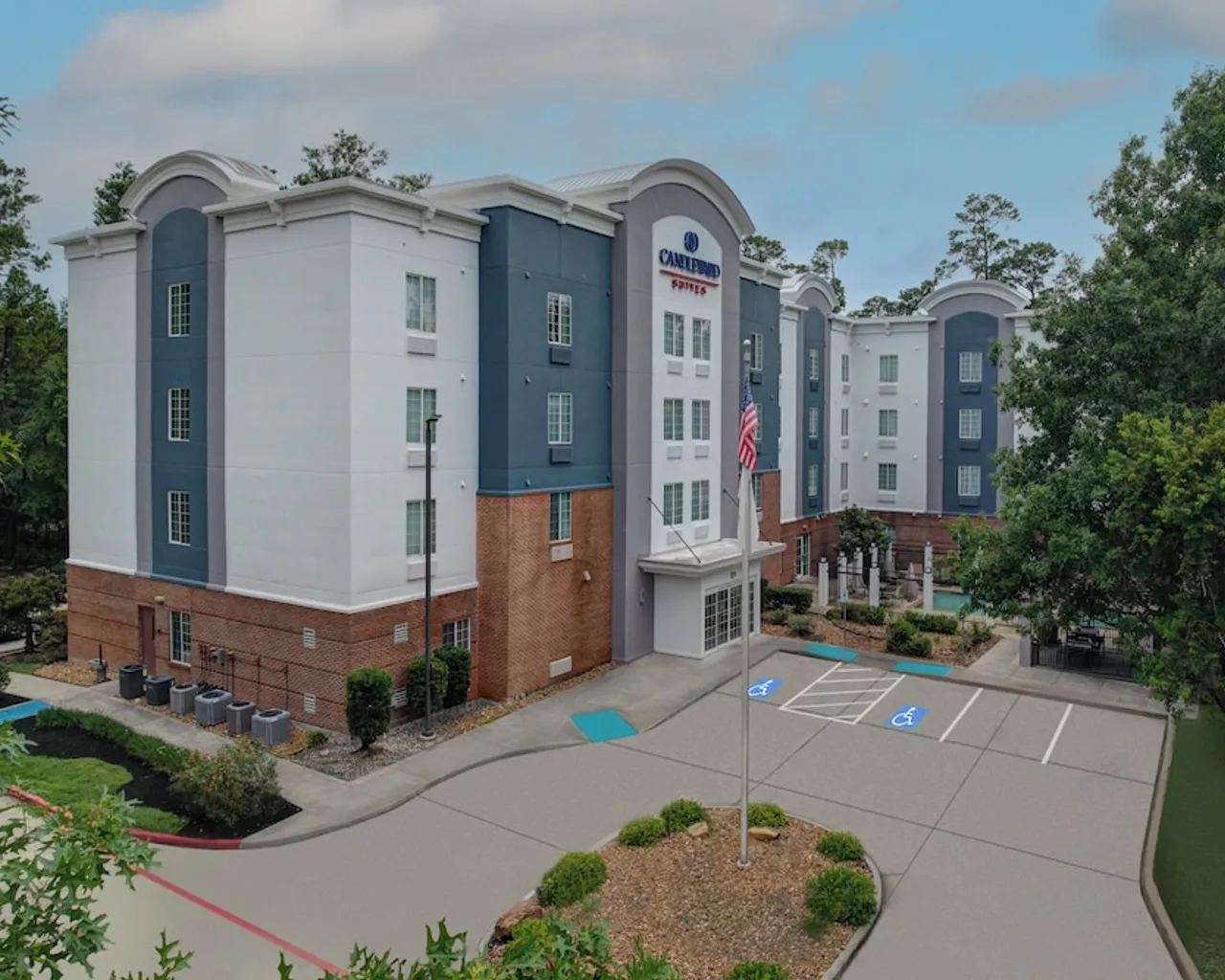 기본 이미지