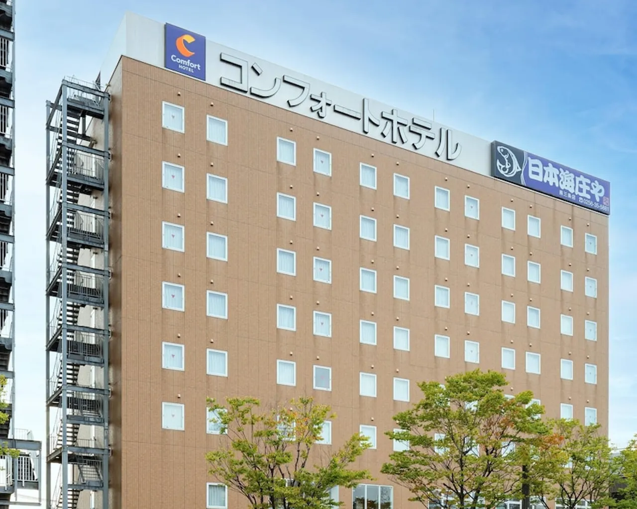 기본 이미지