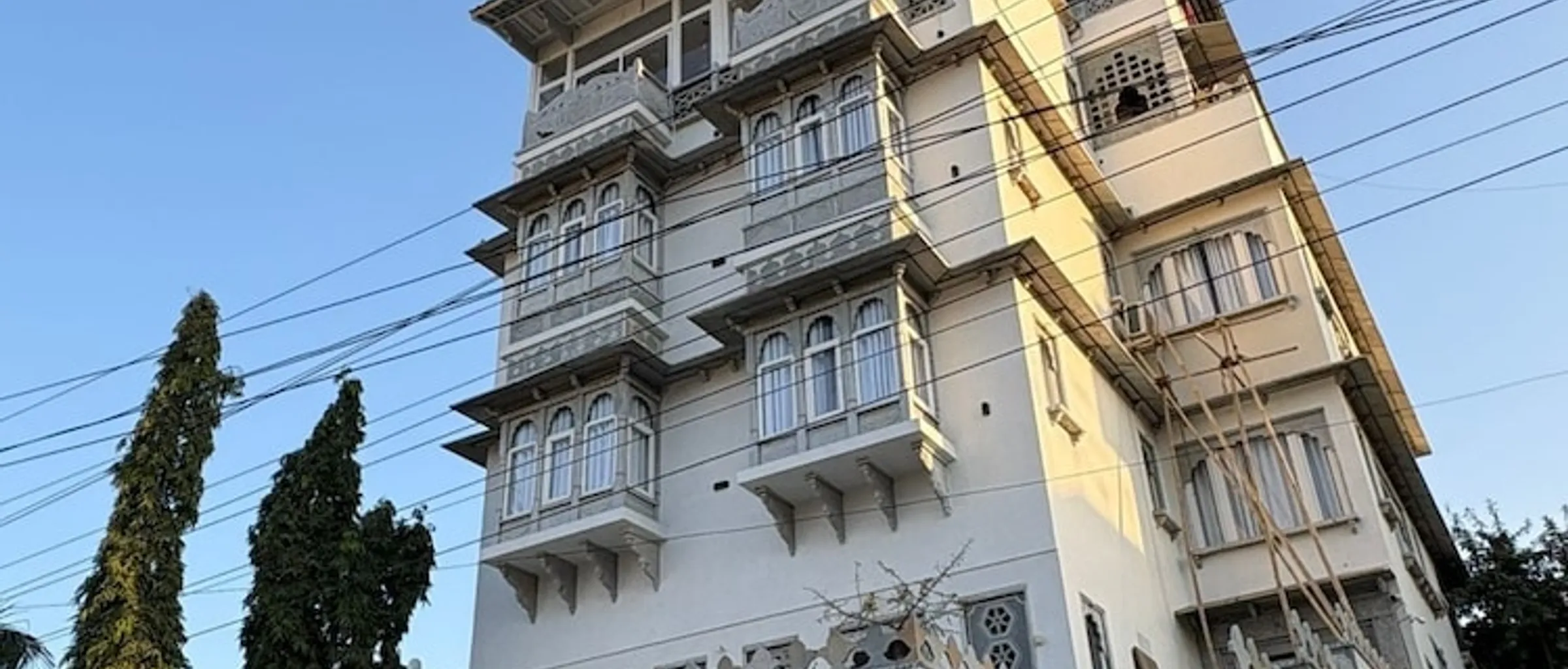기본 이미지