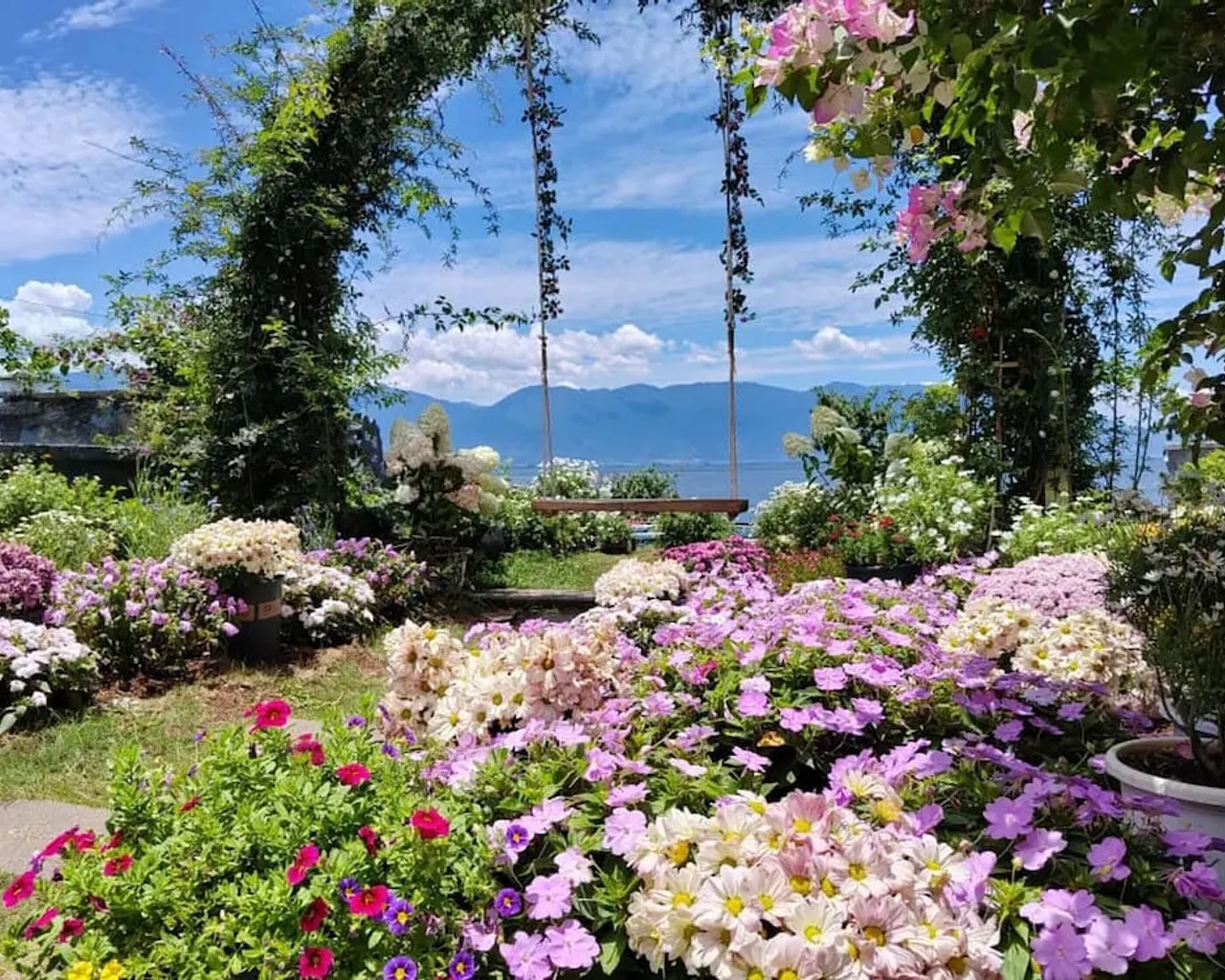 기본 이미지