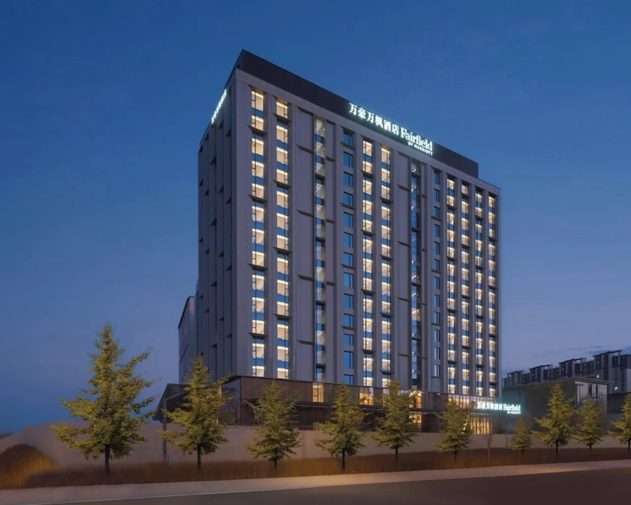 기본 이미지