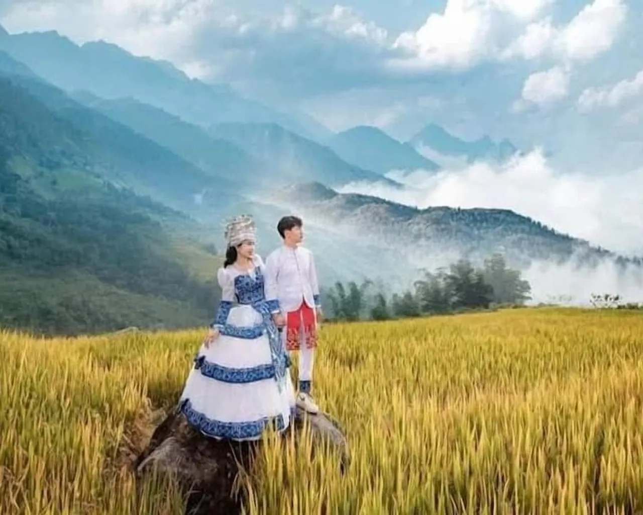 기본 이미지