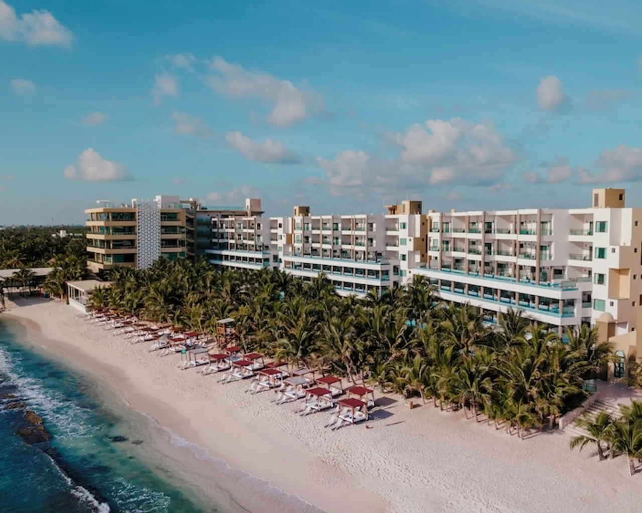 기본 이미지