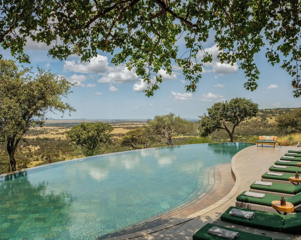 기본 이미지