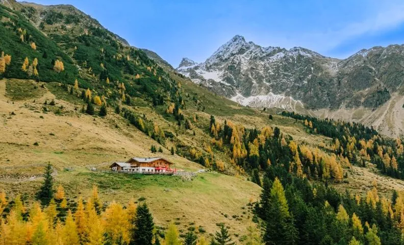 Die Acherberg Alm