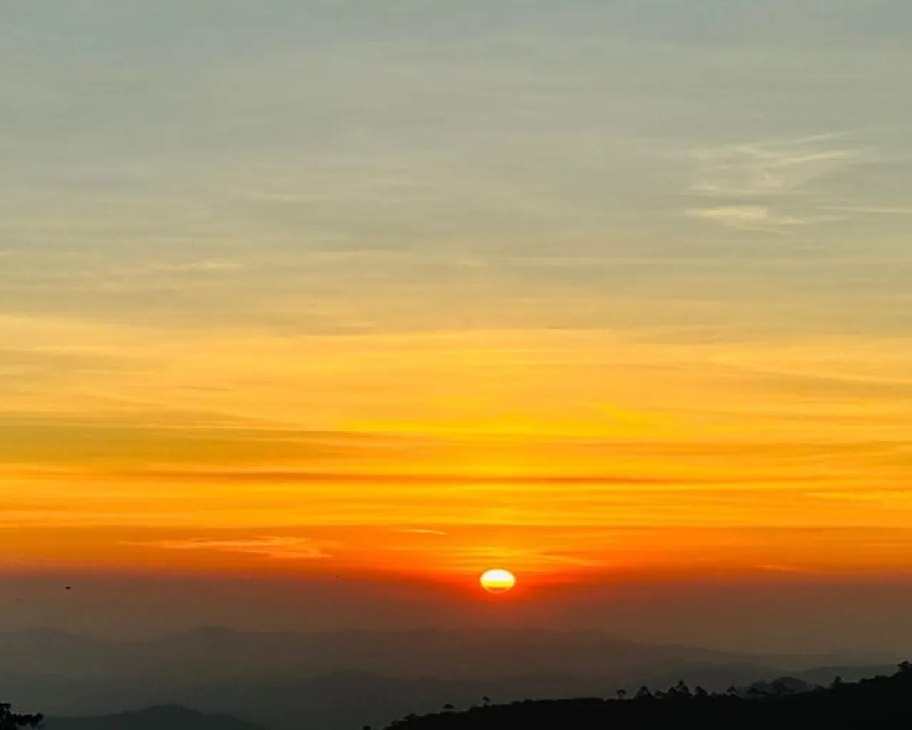 기본 이미지