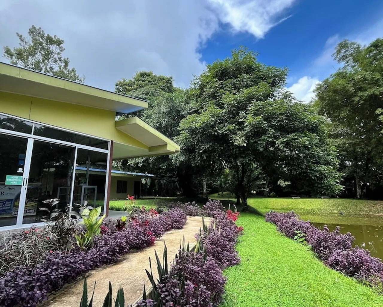 기본 이미지