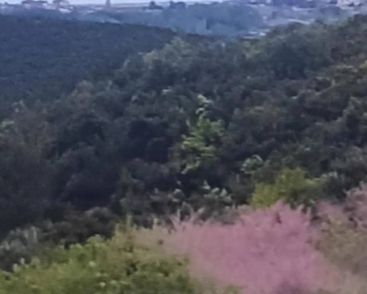 주변 환경