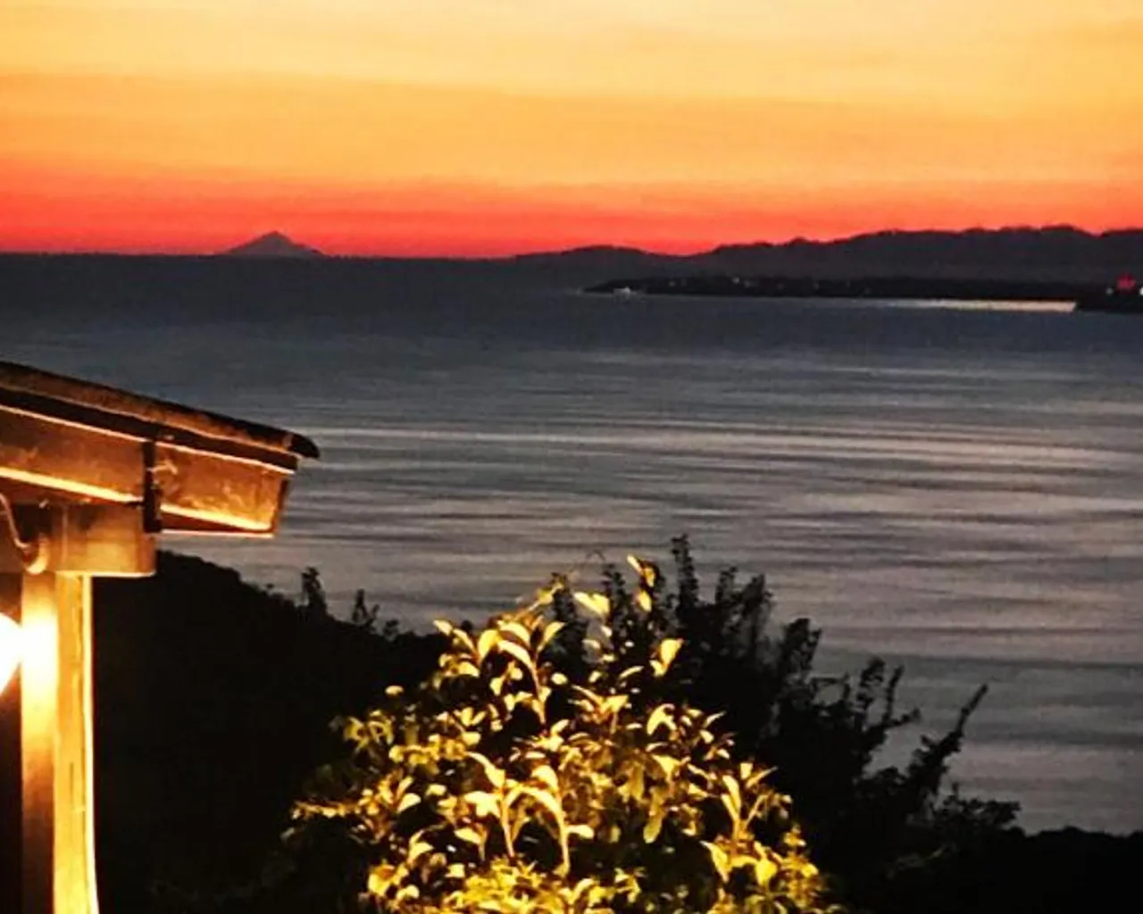 전망
