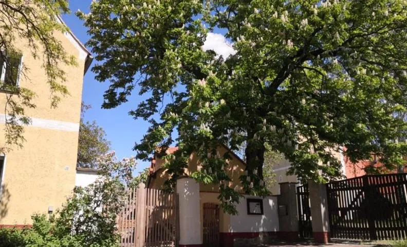 Gästehaus Liemehna