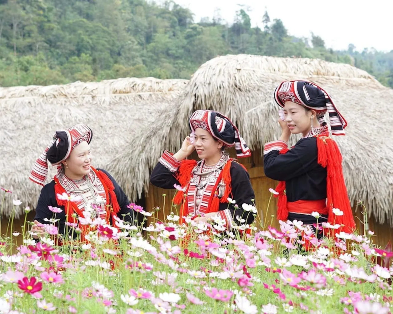 기본 이미지