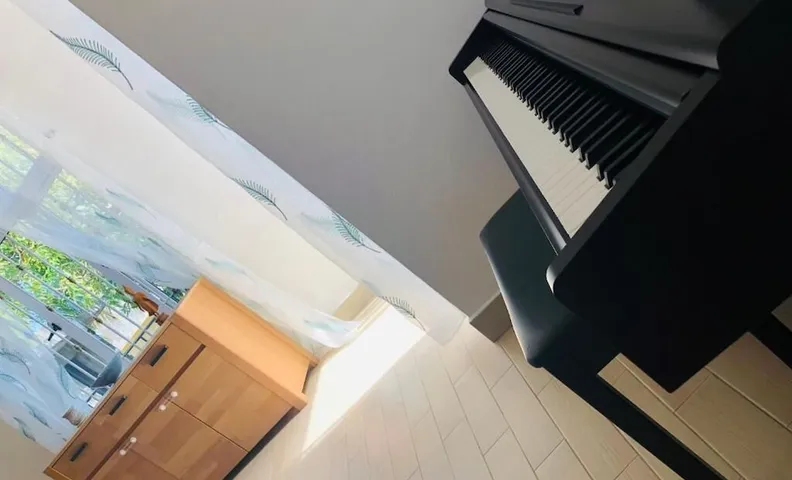 쉐 모이