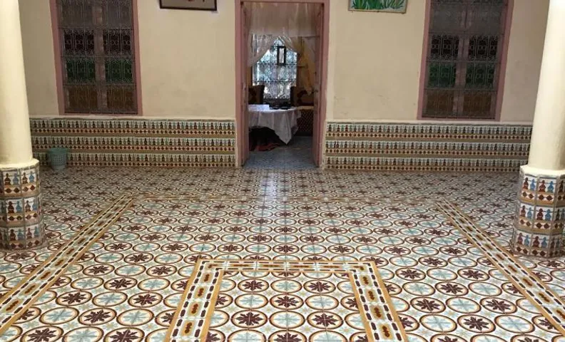 Écologie oasis tafilalt CHEZ L' HABITANT