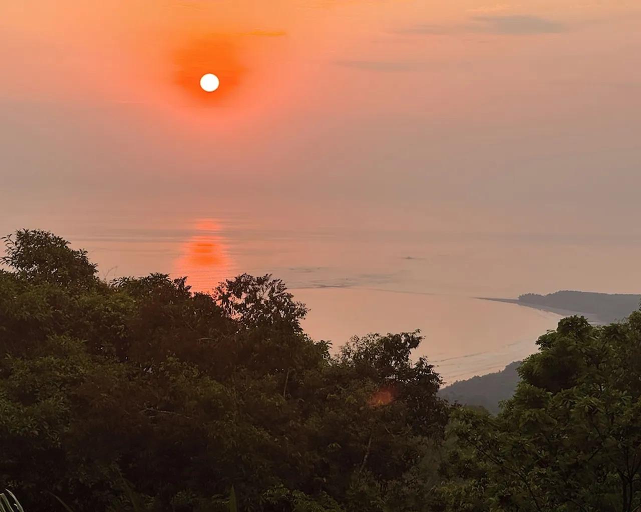 기본 이미지