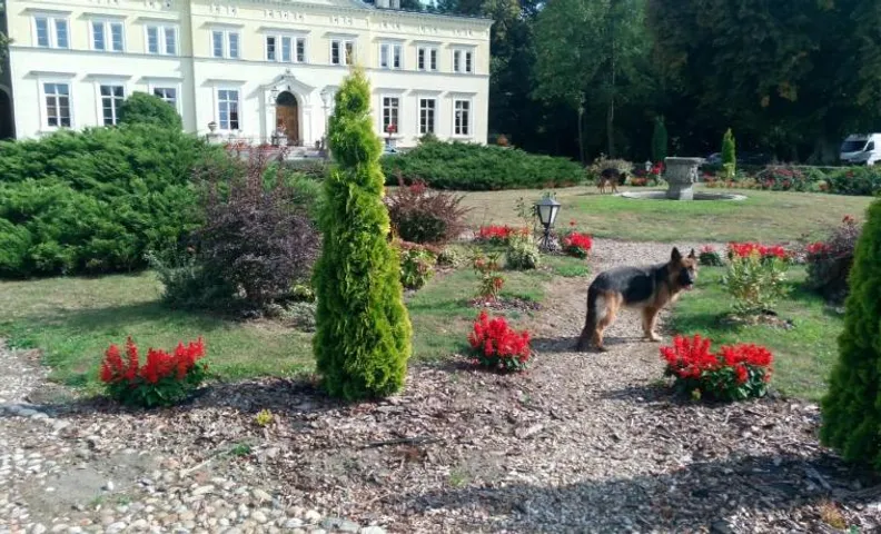Pałac Kwilecki -AGROTURYSTYKA PREMIUM & SPA