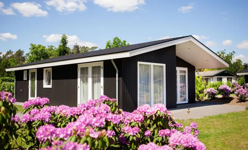 Chalet in Netherlands by Scenic Pond