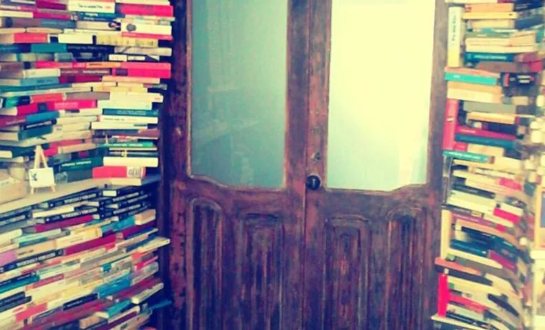 Ratones de Biblioteca