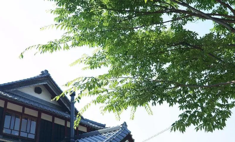 카페 앤 게스트하우스 네임 케임 오노