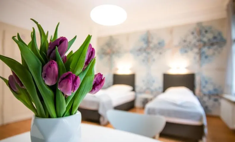 Aparthotel Villa Elon