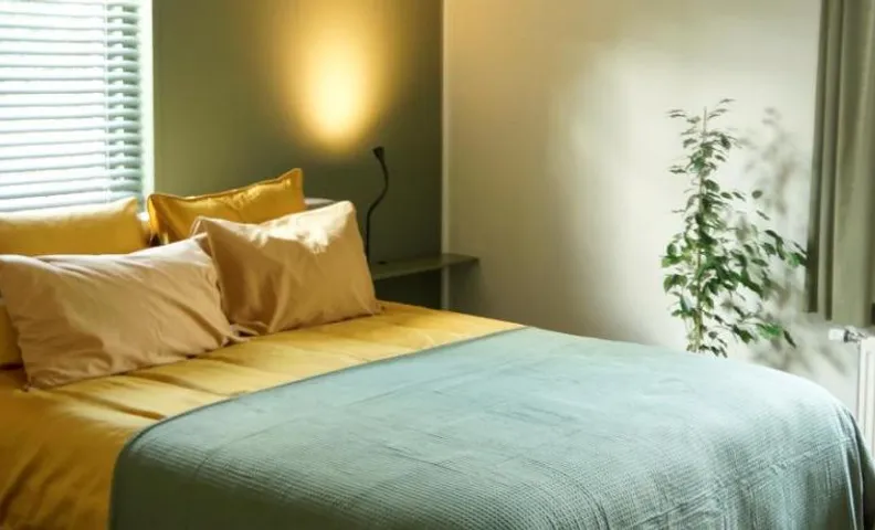Bed and Breakfast het Groentje