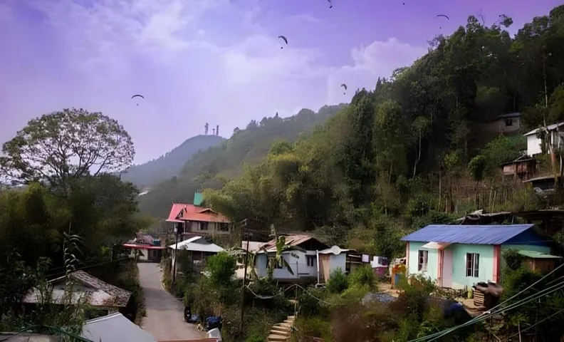 The Black Conch, Homestay 