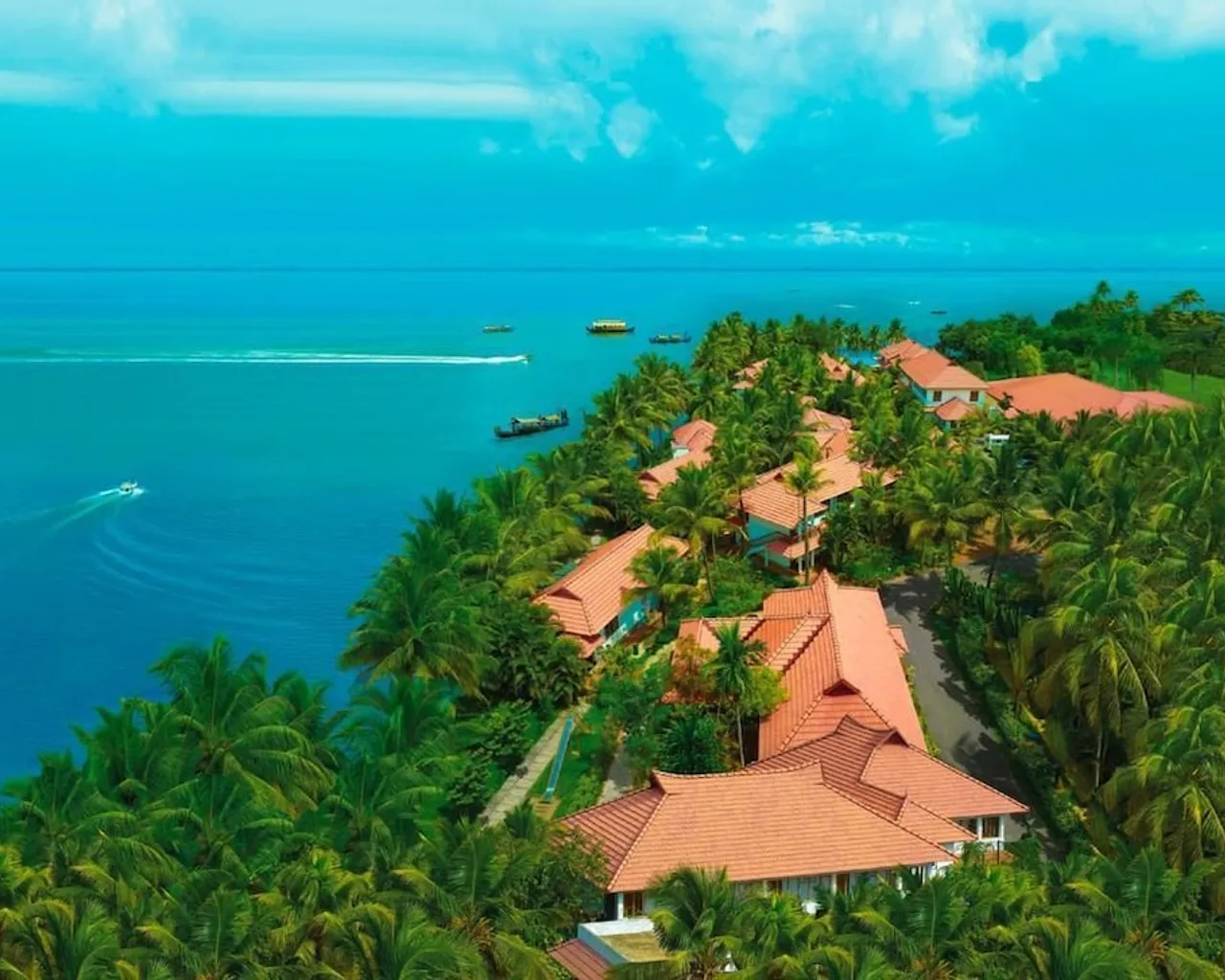 기본 이미지