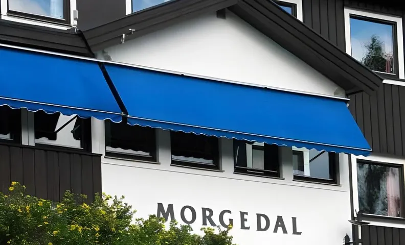 Morgedal Hotel