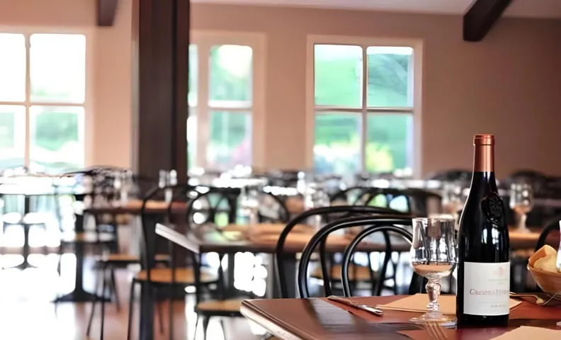브리트 호텔 리옹 노르 다르딜리
