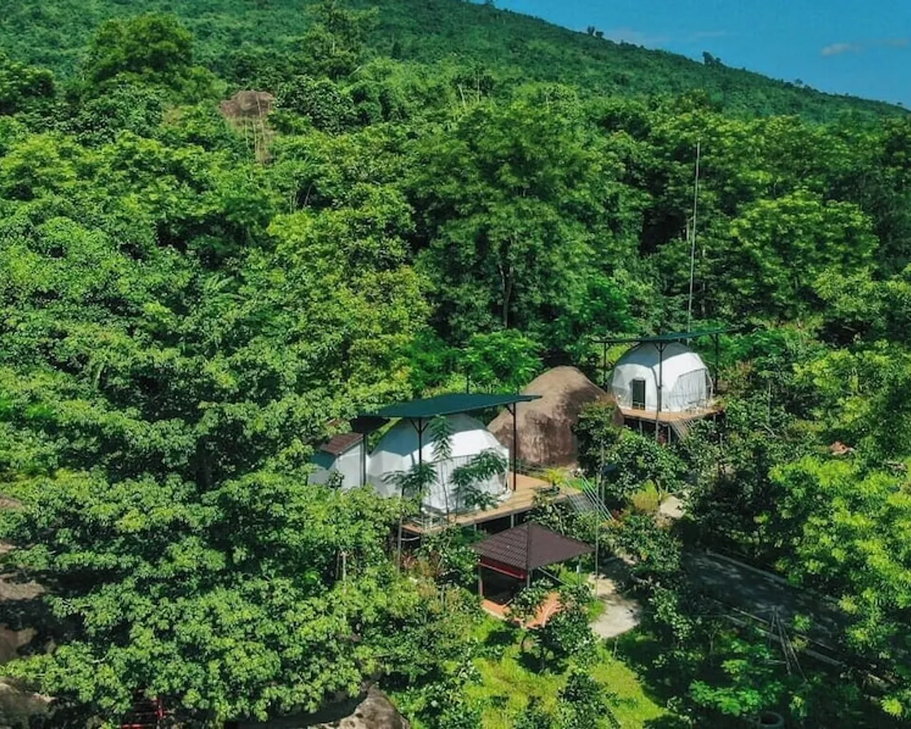 기본 이미지