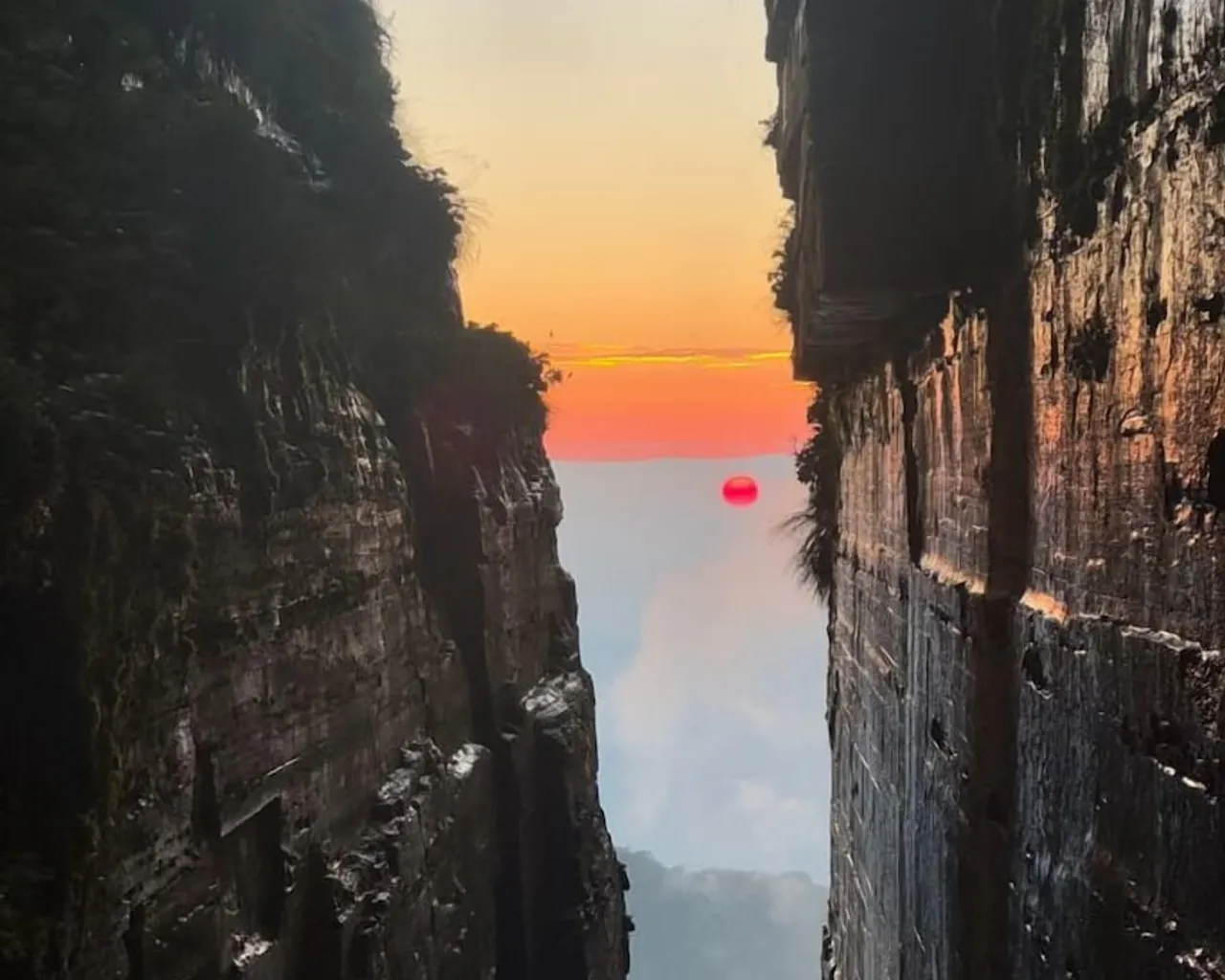 기본 이미지