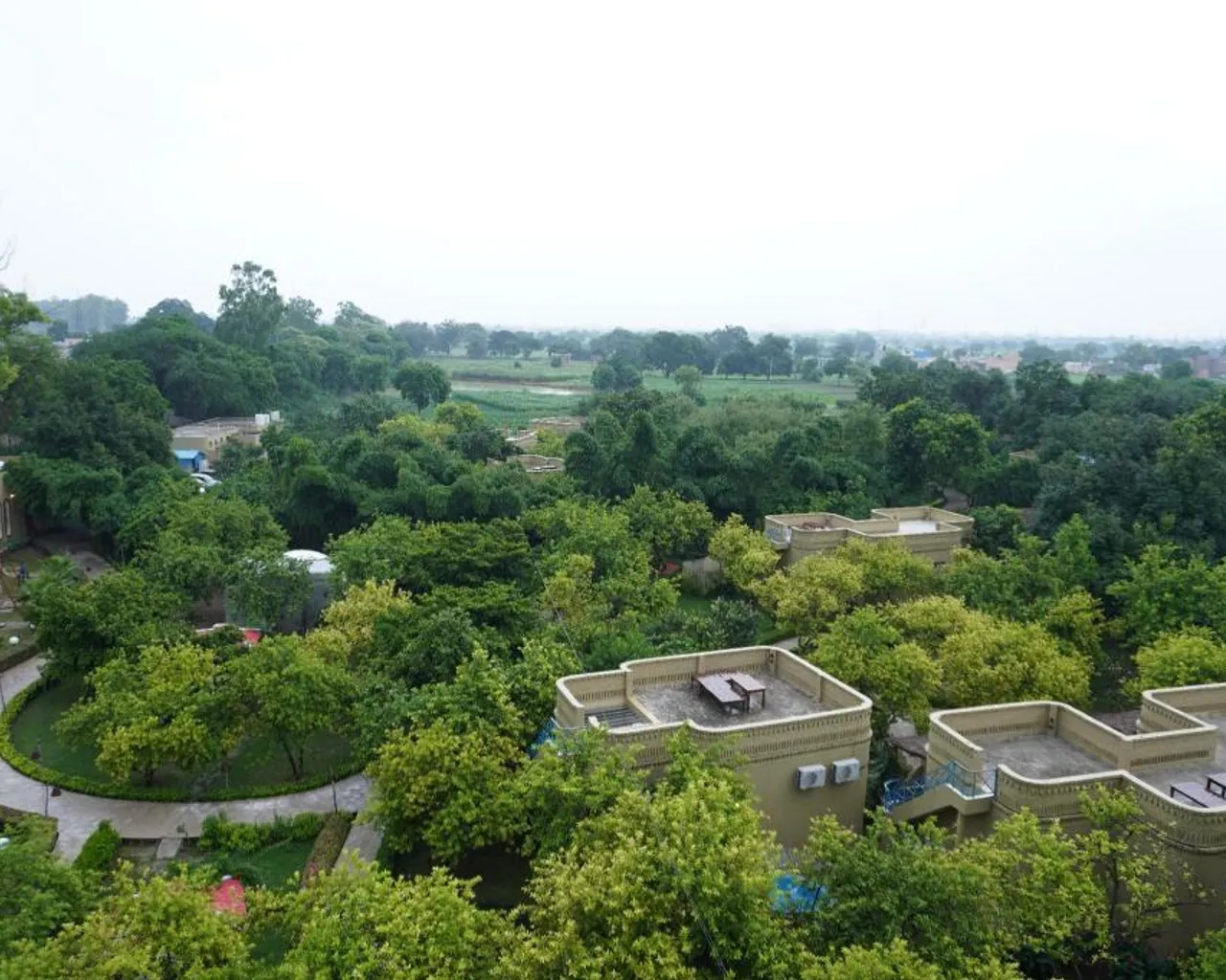 전망