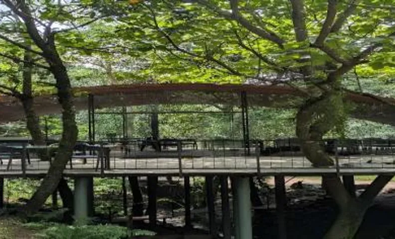 Deva Dhare Resort