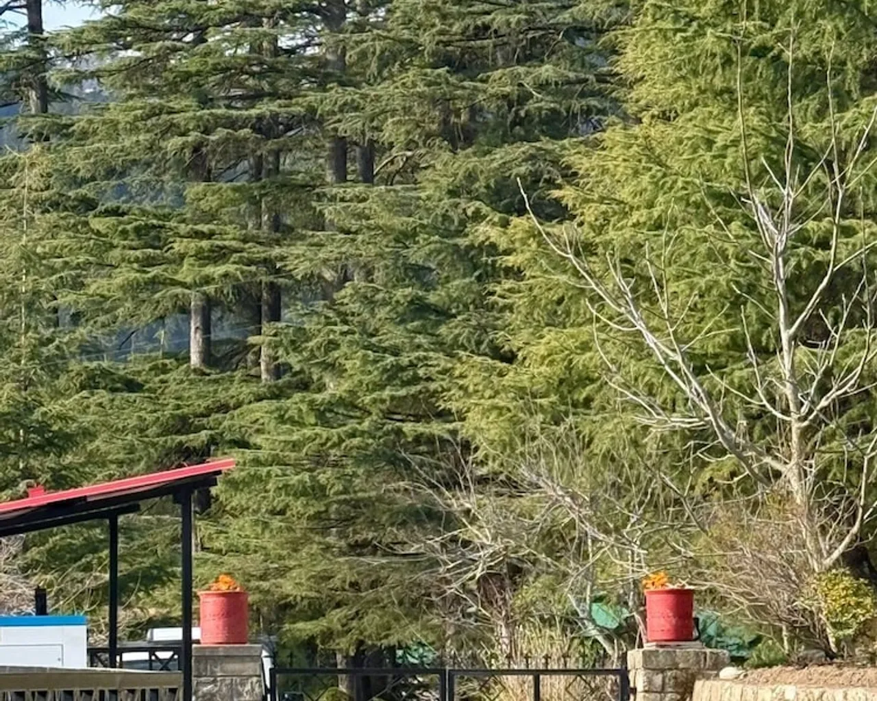 숙소 주변