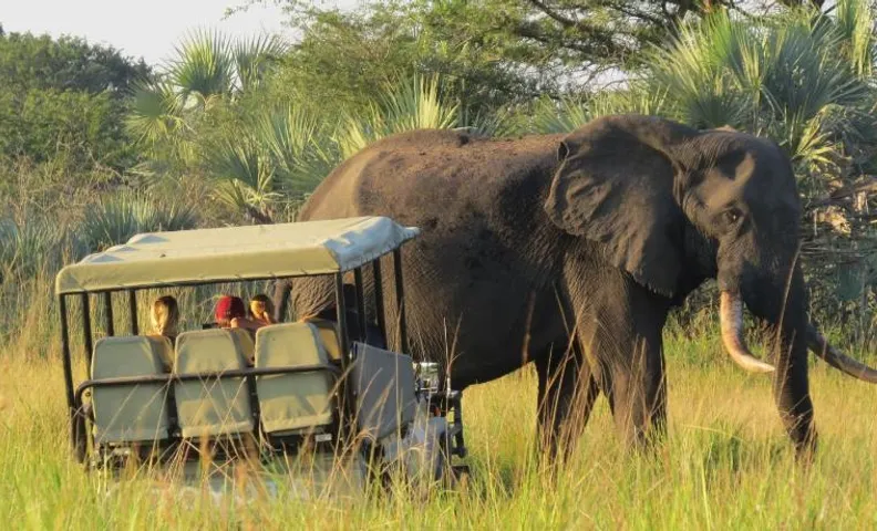 Tembe Elephant Park Lodge