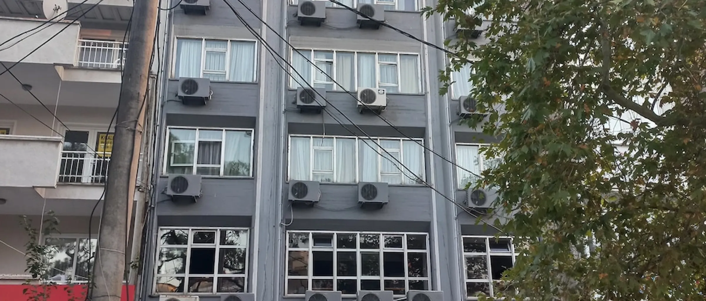 기본 이미지