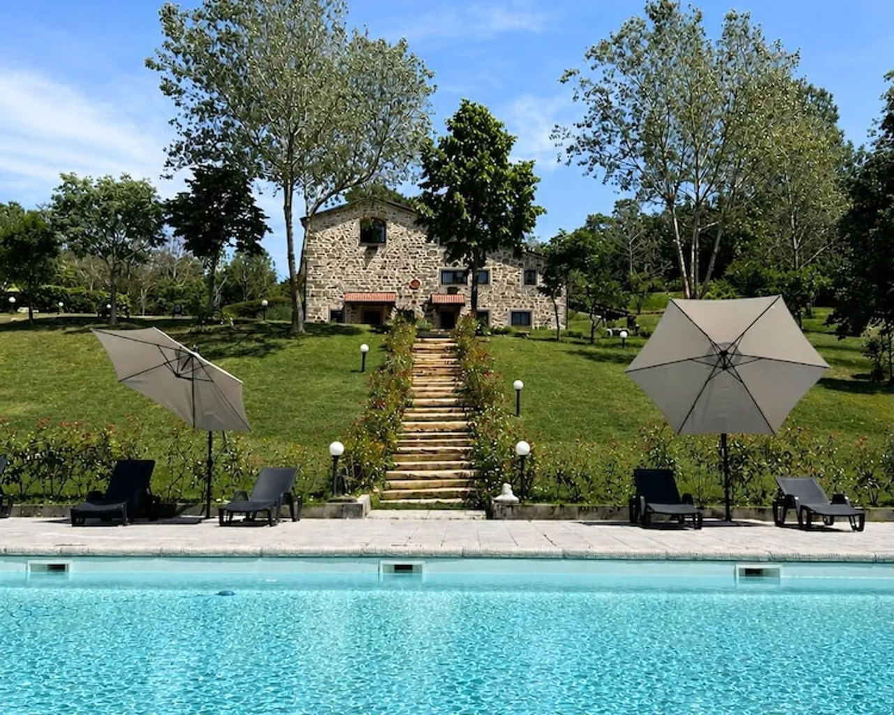 기본 이미지