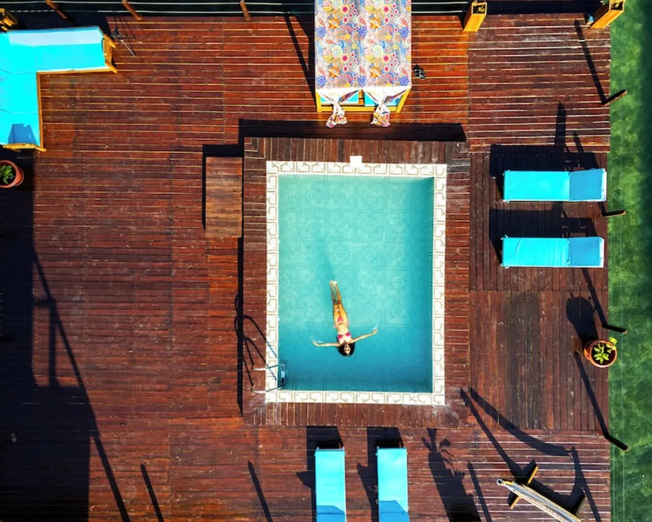 기본 이미지