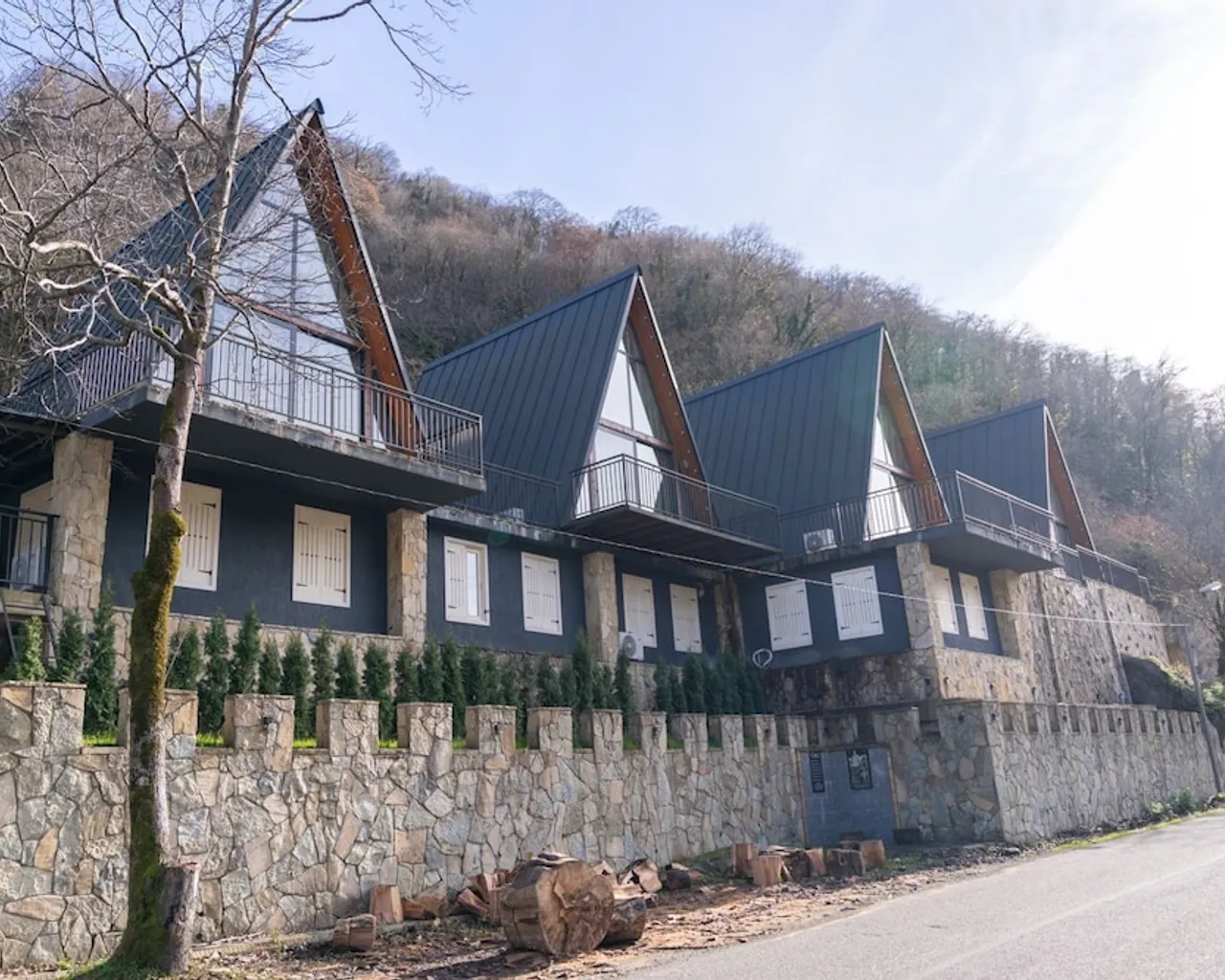 기본 이미지