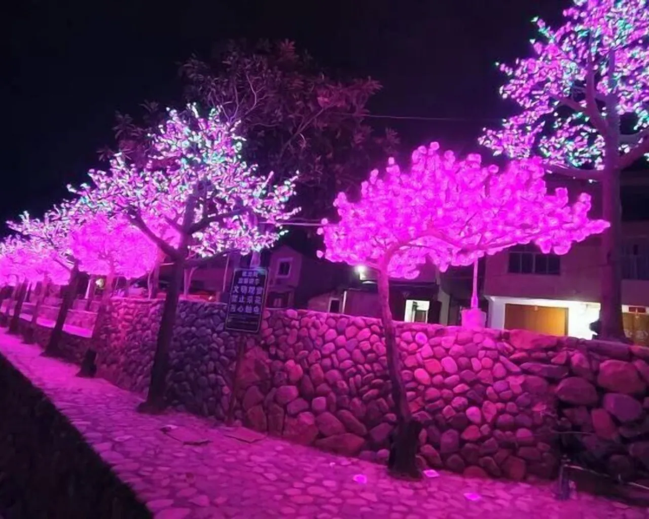숙소 주변