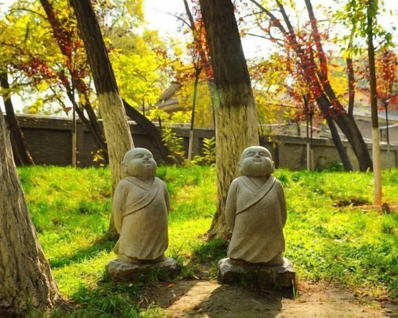 정원